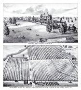 Bonanza Vineyard, Joe. D. Biddle, R.E. Hyde Stock Ranch, Tulare County 1892